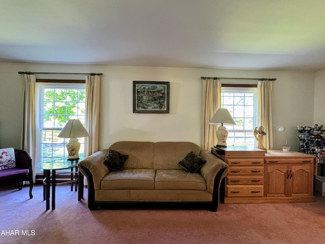 view of carpeted living room