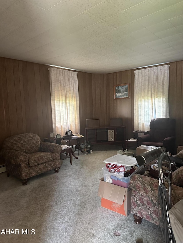 1301 Spangler St, Hastings, PA 16646 - photo 6