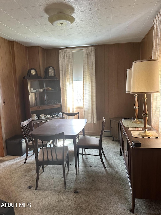 1301 Spangler St, Hastings, PA 16646 - photo 7
