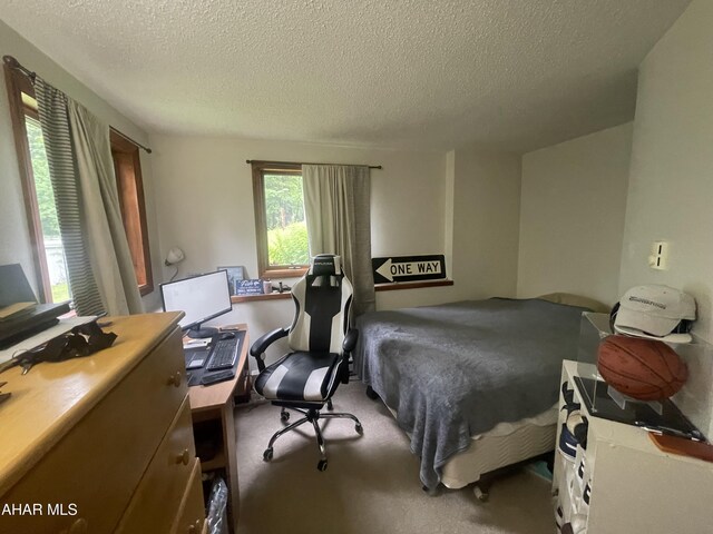 849-853 Fairview Rd, Howard, PA 16841 - bedroom featuring a textured ceiling, carpet floors, and a desk