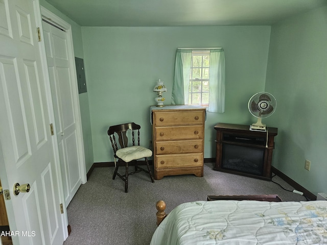 849-853 Fairview Rd, Howard, PA 16841 - bedroom with carpet flooring, baseboards, and electric panel