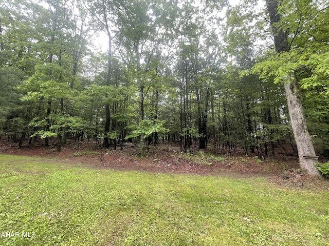849-853 Fairview Rd, Howard, PA 16841 - view of grassy yard