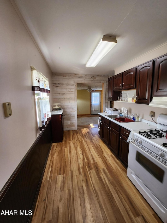 kitchen with exhaust hood, wooden walls, light hardwood / wood-style flooring, dark brown cabinets, and white range with gas stovetop