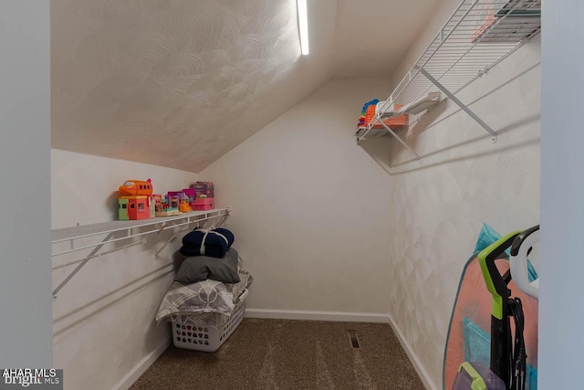 215 Oakwood Dr, Philipsburg, PA 16866 - spacious closet featuring carpet and vaulted ceiling
