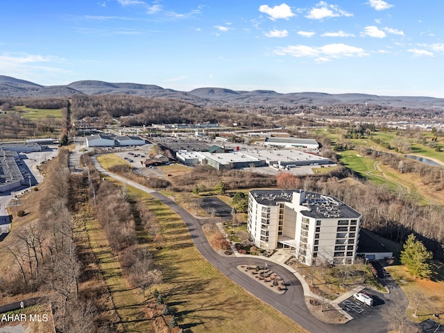 drone / aerial view with a mountain view