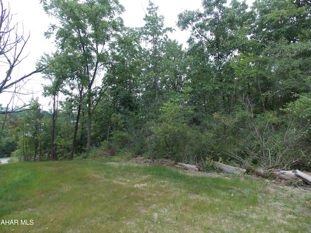 - George Avenue, Altoona, PA 16602