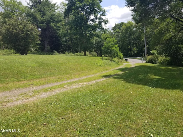 11 Felske Ln, Philipsburg, PA 16866 - photo 9