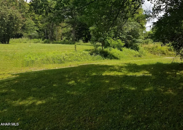 11 Felske Ln, Philipsburg, PA 16866 - photo 10