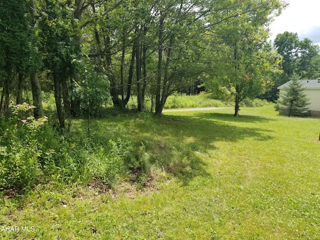 11 Felske Ln, Philipsburg, PA 16866 - photo 12