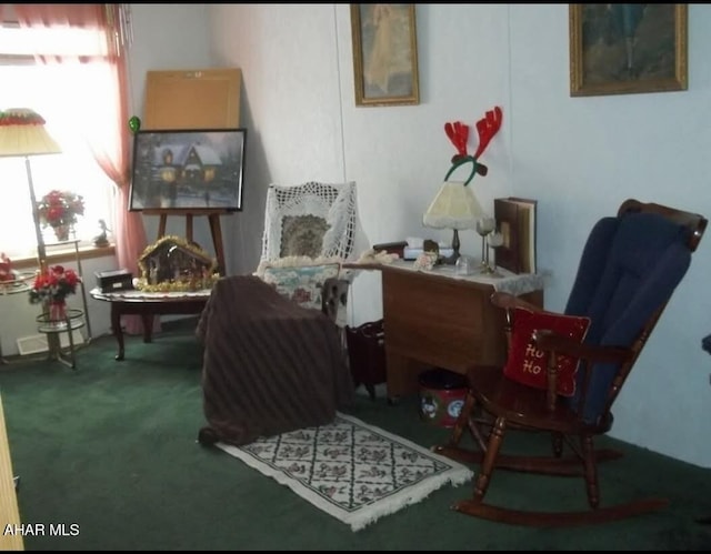 11 Felske Ln, Philipsburg, PA 16866 - photo 35