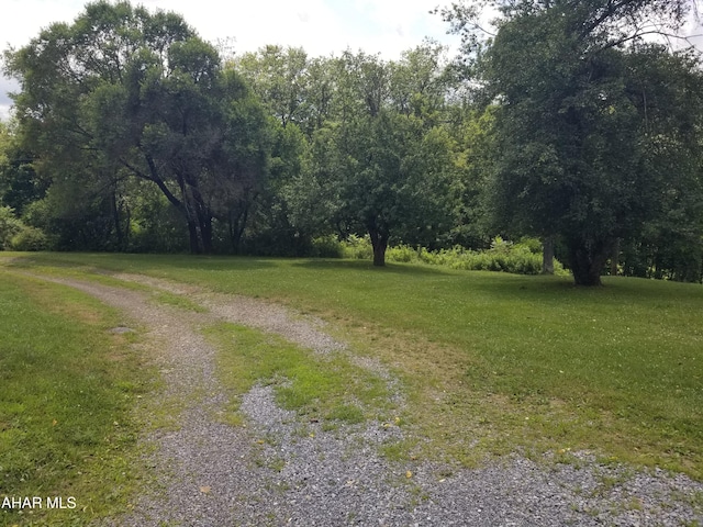 11 Felske Ln, Philipsburg, PA 16866 - photo 8