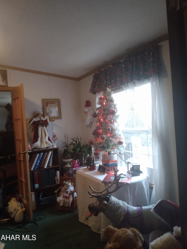 11 Felske Ln, Philipsburg, PA 16866 - photo 32