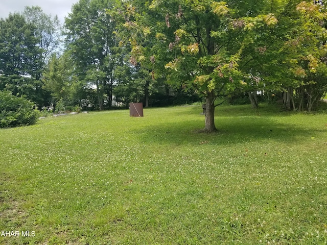 11 Felske Ln, Philipsburg, PA 16866 - photo 11