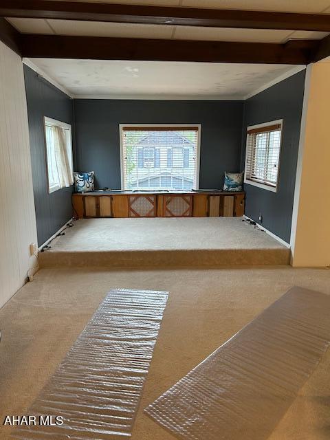 207 Spruce Ave, Altoona, PA 16601 - photo 6