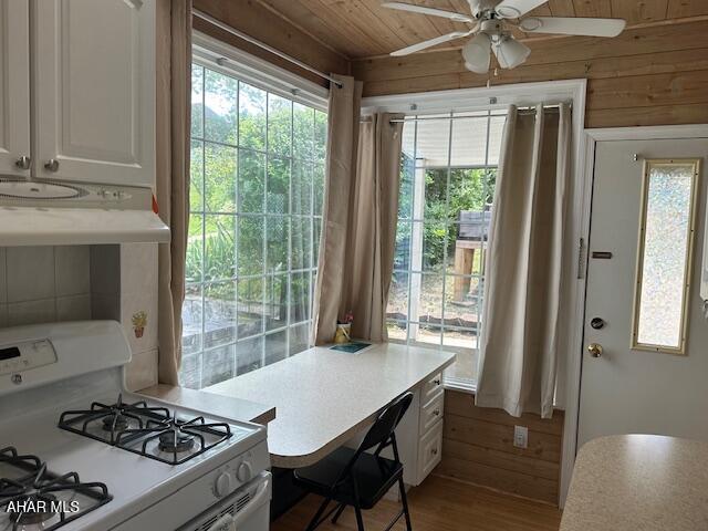 207 Spruce Ave, Altoona, PA 16601 - photo 4