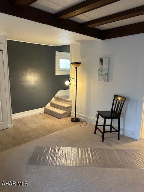 207 Spruce Ave, Altoona, PA 16601 - photo 9