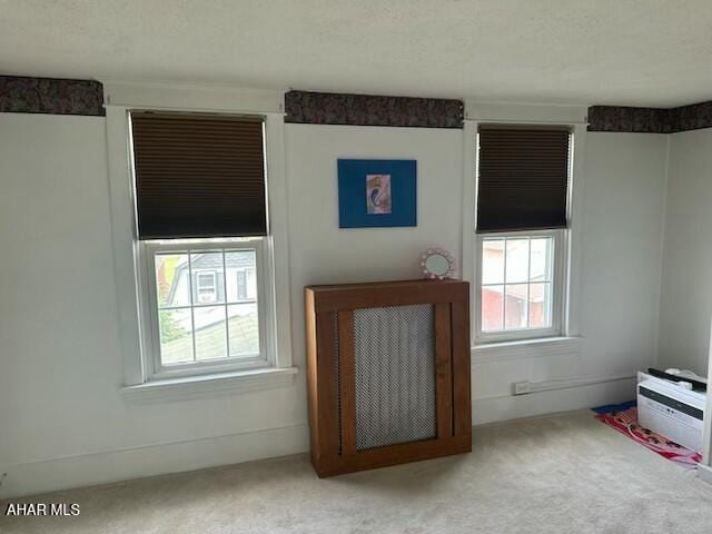 207 Spruce Ave, Altoona, PA 16601 - photo 10