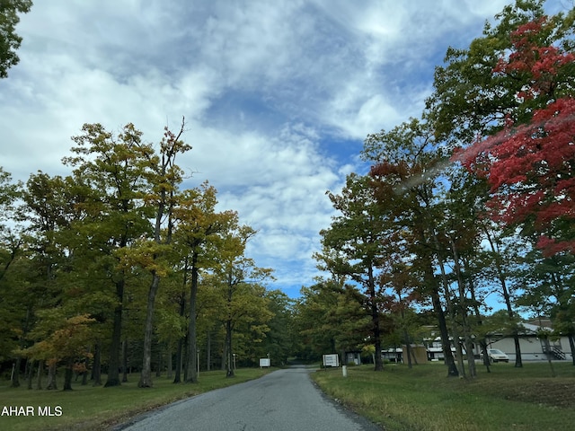 215 E Valley Point Ln, Claysburg, PA 16625 - view of asphalt street