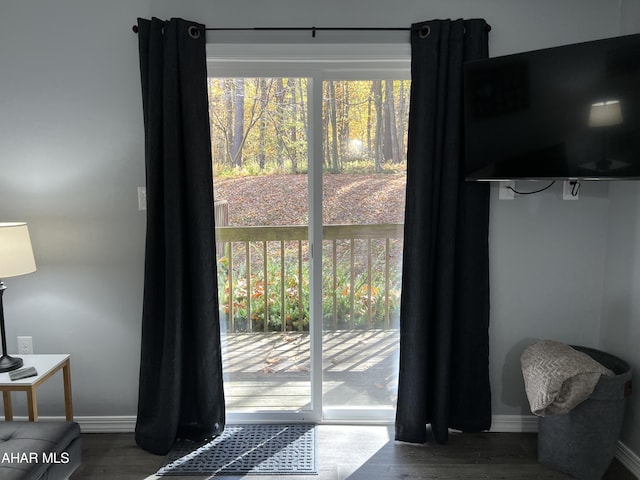 215 E Valley Point Ln, Claysburg, PA 16625 - doorway featuring healthy amount of natural light and wood finished floors