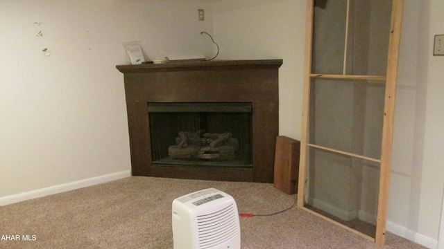 interior details featuring carpet flooring