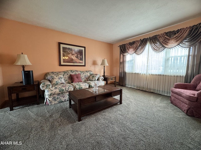 carpeted living room with a textured ceiling