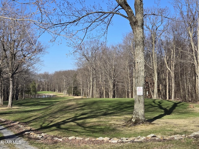 185 E Valley Point Ln, Claysburg, PA 16625 - view of community featuring a lawn and a water view