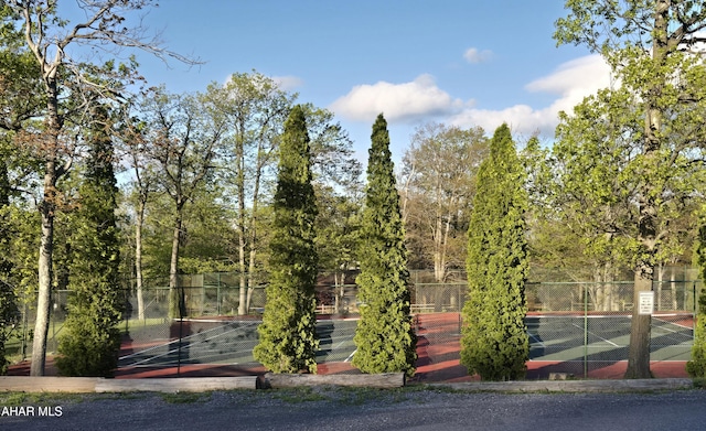 185 E Valley Point Ln, Claysburg, PA 16625 - view of home's community with a tennis court