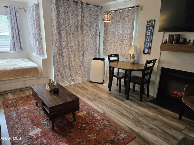 185 E Valley Point Ln, Claysburg, PA 16625 - living room with wood finished floors and a lit fireplace