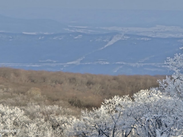 185 E Valley Point Ln, Claysburg, PA 16625 - view of undeveloped land