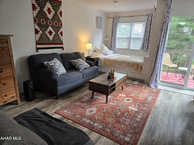 185 E Valley Point Ln, Claysburg, PA 16625 - living room featuring wood finished floors