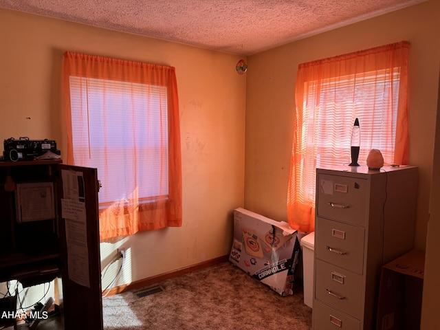 carpeted bedroom with a textured ceiling