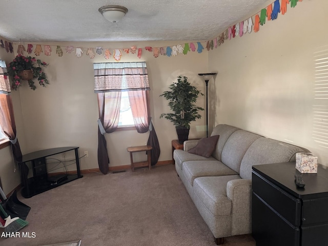 living room featuring carpet and a textured ceiling