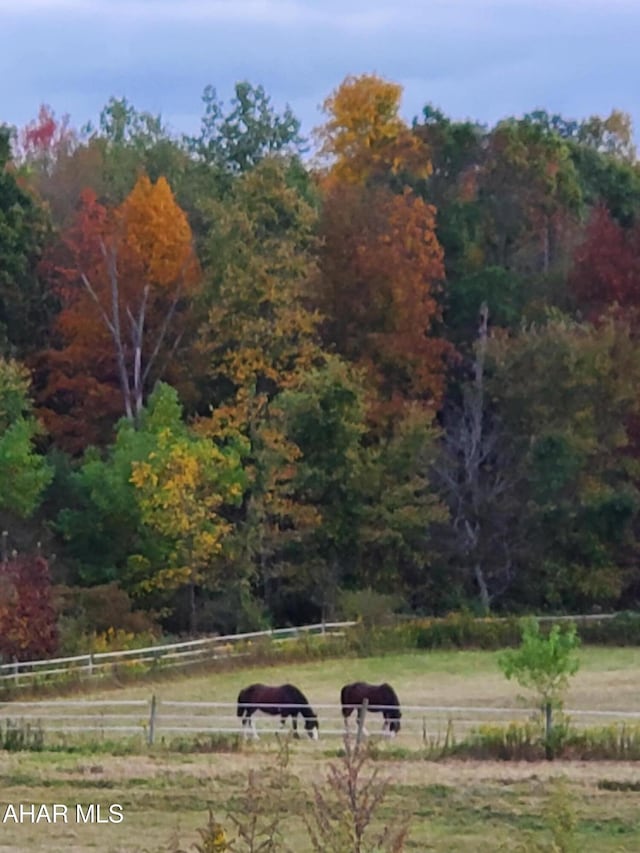 view of yard with a rural view, a view of trees, and fence