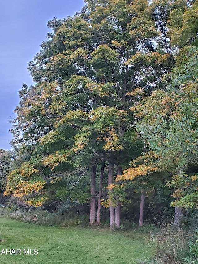 view of yard featuring a view of trees