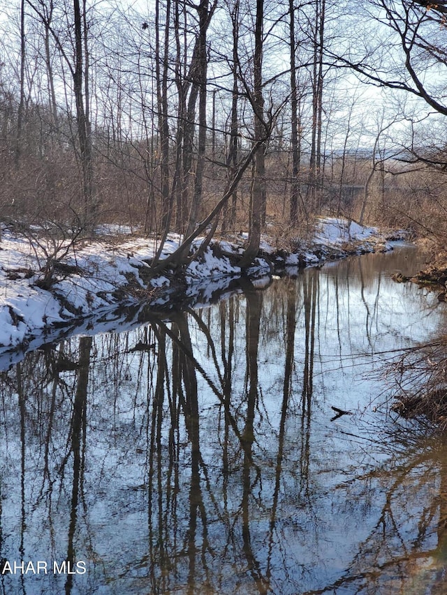 property view of water with a view of trees