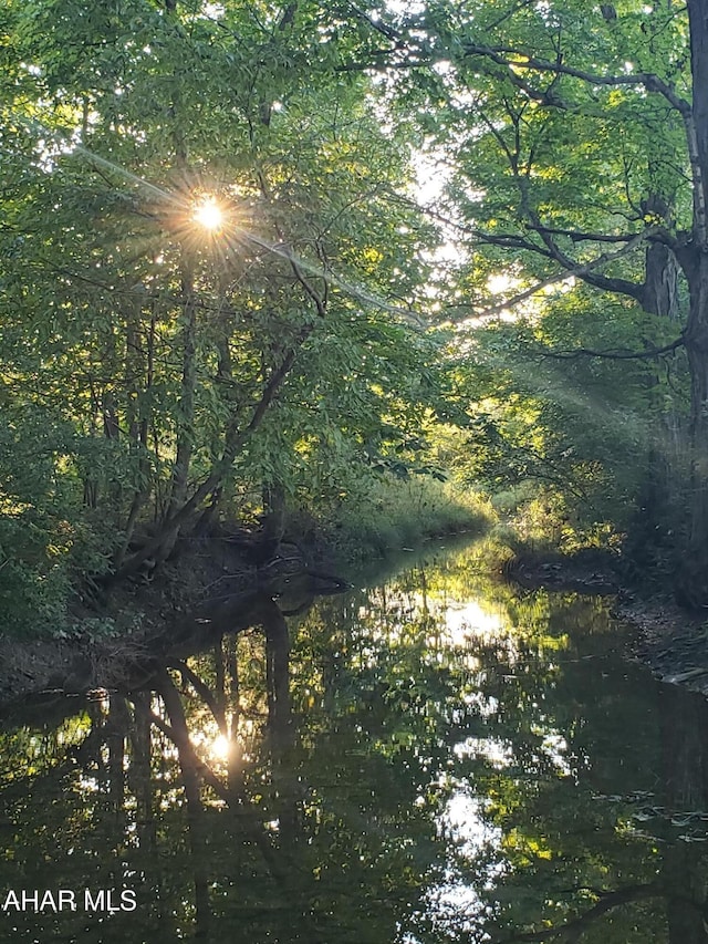 view of nature with a wooded view