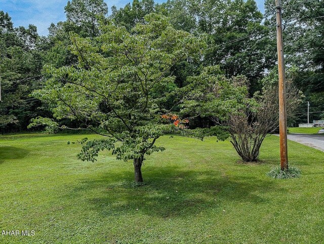 127 Griffith Rd, Hopewell, PA 16650 - photo 25
