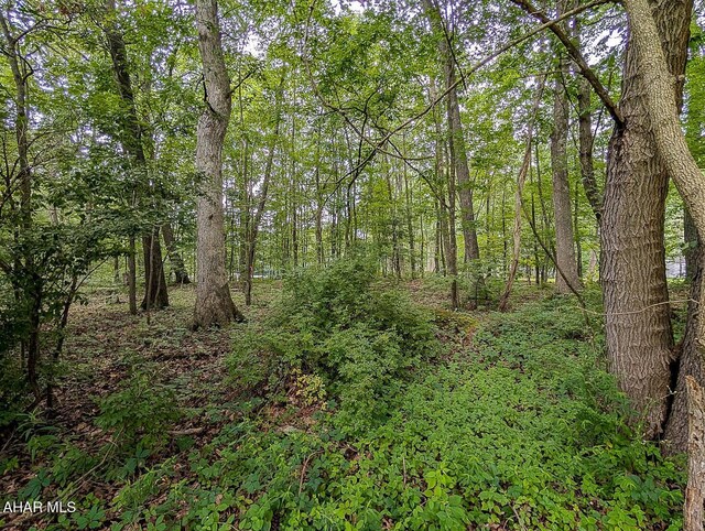 127 Griffith Rd, Hopewell, PA 16650 - photo 34