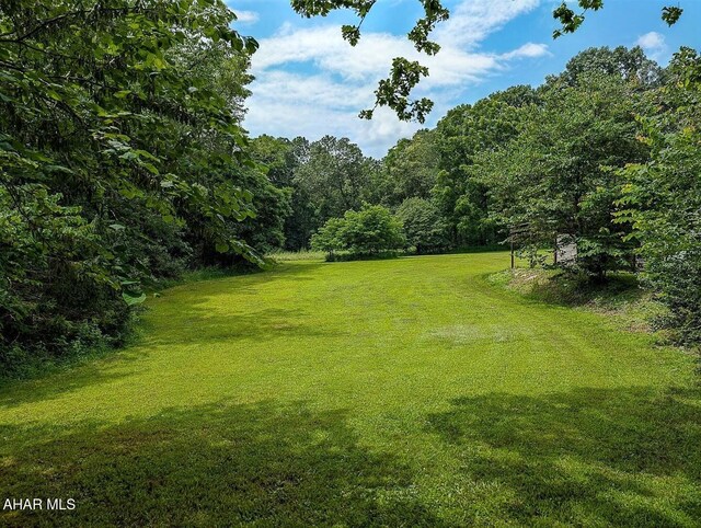 127 Griffith Rd, Hopewell, PA 16650 - photo 26