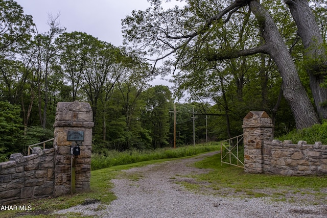 166 Mink Rd, Boswell, PA 15531 - view of street featuring a forest view