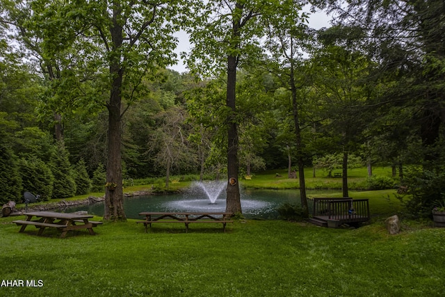 166 Mink Rd, Boswell, PA 15531 - view of home's community with a water view, a lawn, and a wooded view