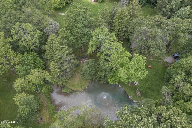 166 Mink Rd, Boswell, PA 15531 - aerial view of property and surrounding area with a large body of water