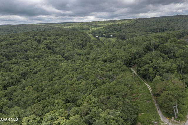 166 Mink Rd, Boswell, PA 15531 - aerial view of a forest