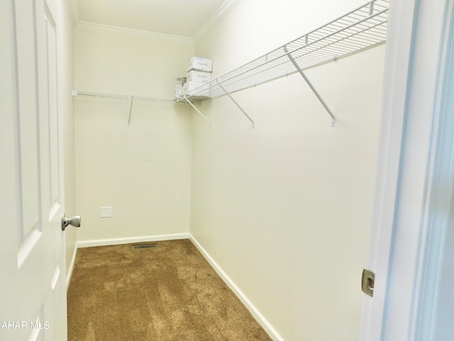 115 Spruce St, Smithmill, PA 16680 - spacious closet with carpet flooring