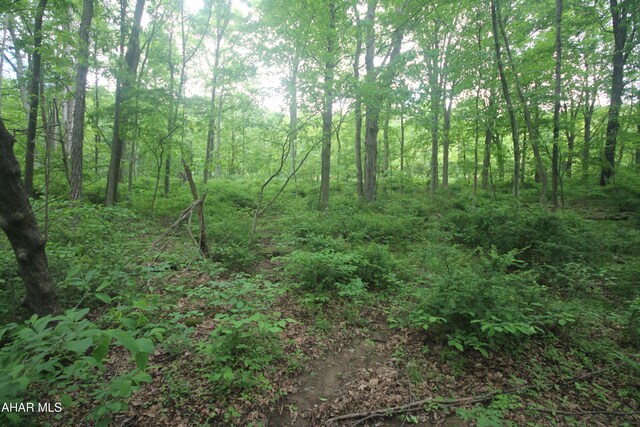 00 Black Valley Rd, Everett, PA 15537