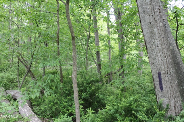 00 Black Valley Rd, Everett, PA 15537