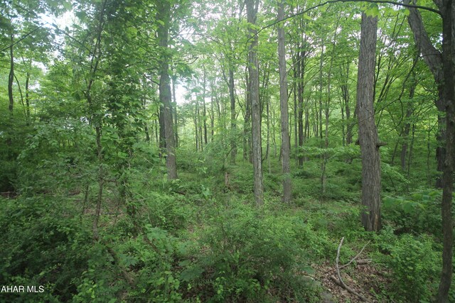 00 Black Valley Rd, Everett, PA 15537