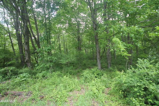 00 Black Valley Rd, Everett, PA 15537