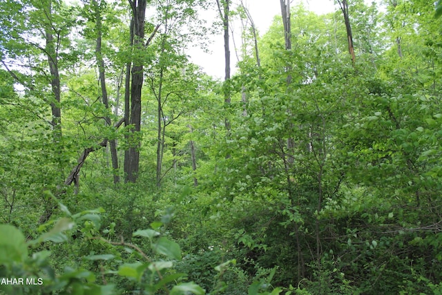 00 Black Valley Rd, Everett, PA 15537