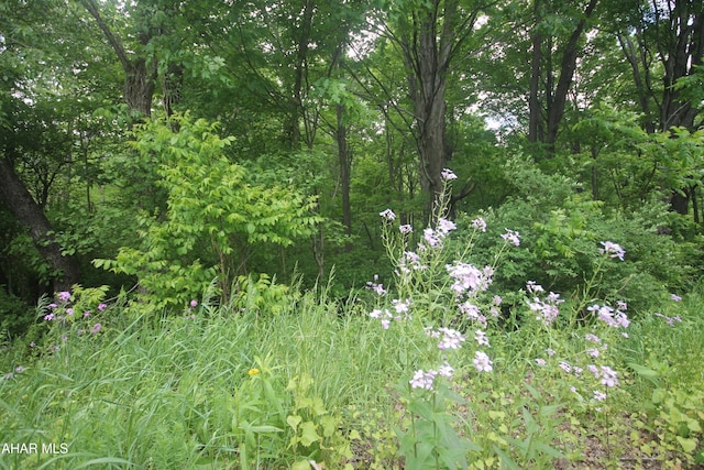 00 Black Valley Rd, Everett, PA 15537